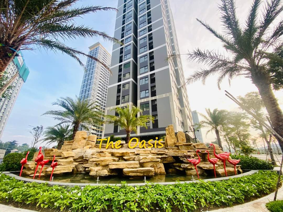 Căn hộ khu Oasis Solari